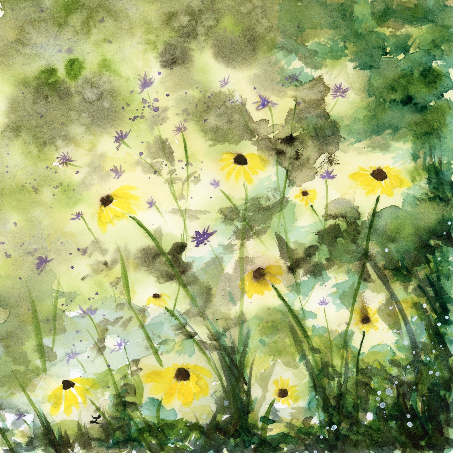 July Greeting Card