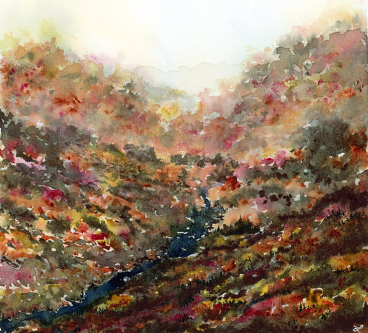 Autumn from the top Greeting Card