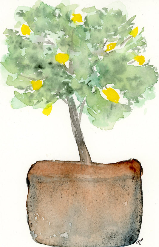 Potted Lemon Tree Greeting Card