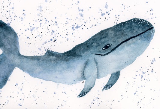 Wilson the Whale Greeting Card